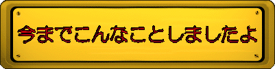 今までこんなことしましたよ