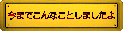 今までこんなことしましたよ 